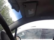 Dickflashing Car 34.2