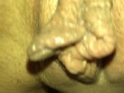 Delicious pussy lips