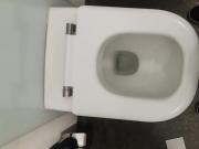 piss on public toilet