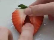 Fruit