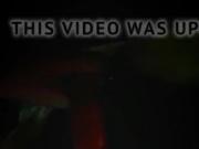 tribute from xyz666