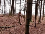 Nudist in Sweden forest