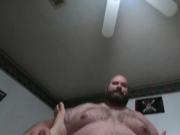 Big hairy Bear