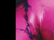 girl caresses cunt and ass closeup