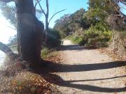 Biking naked on a walkway 2