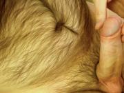 Handsfree frenulum stroking orgasm no audio