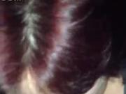 AUTISTA PULMINO ROMANIA POMPINO BADANTE