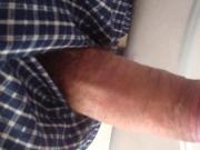 4th of July 2018 little clip