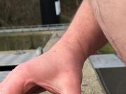Cock