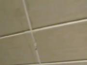 Toilet wall cum