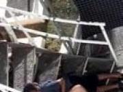 Carnival7