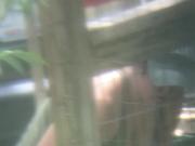 Spying neighbors cleavage