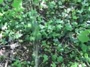 Piss and Cum Gay 6