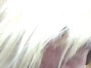 Car head