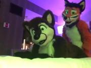 Two Gay Furries Fucking 2