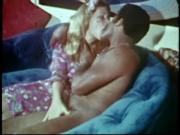 Vintage Interracial 2 Camaster