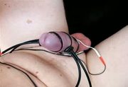 precum with e-stim