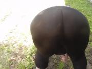 black pants in garden