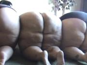 Three BBWs Compare Their Fat Asses