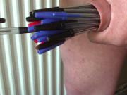 Foreskin with 18 pens