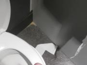 quick public toilet wank