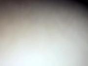Doggy 2