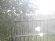Garden Cum