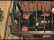 The Rubberpet in the cage