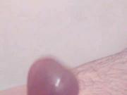 my cock