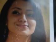 Trisha krishnan cum tribute..