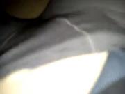 Teasing and Rubbing That Cat Through Her Pants