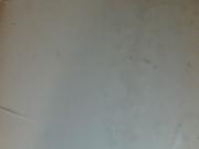 Cum spray explosion