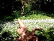 Bed of Daisies