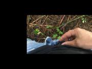 Pissing and jerking off with the foreskin outdoors