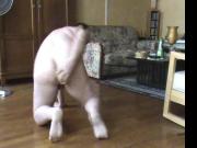 algaycho dildo fuck