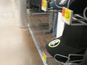 Asszilla on the Move