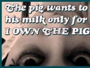 The pig wants to squirt its milk only for me