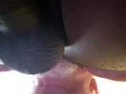 Ass for dinner