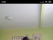 VIDEO68