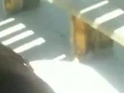 public cum in hair