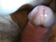 Masturbation an der Eichel xxy1