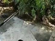 School girl sex video