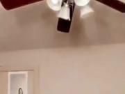 Am Pimmelchen rumgespielt