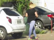 Da serie Coroas e Caminhadas: Rabo de Respeito.