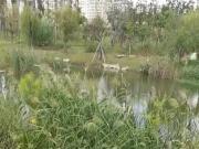 next the river