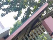 CEU SHS6 boso