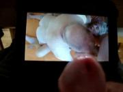 tribute to a horny trio