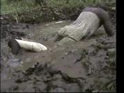 Pati mud wet dress 1