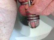 Cock cage toilet