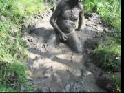 modder 6